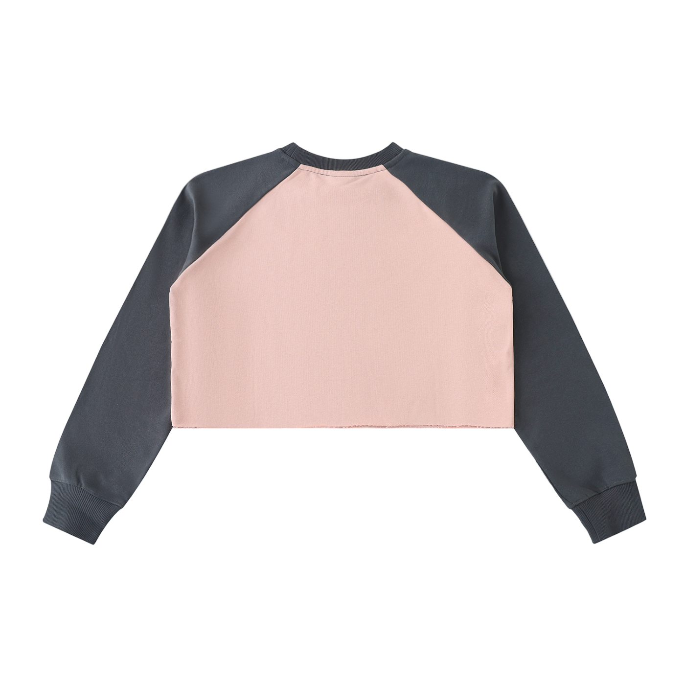 Occult Fan Club Crop Sweatshirt